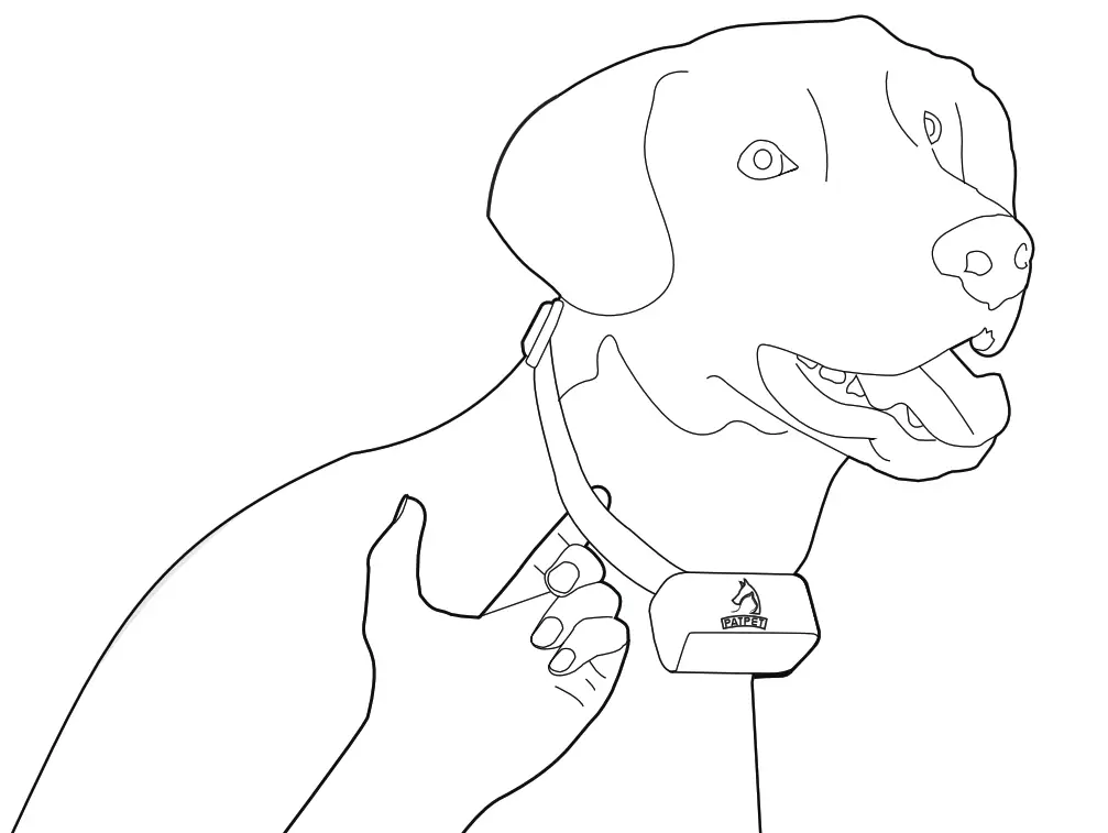 PATPET Remote Training Collar- colar