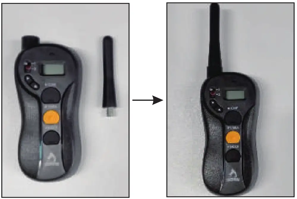 PATPET Remote Training Collar- geide