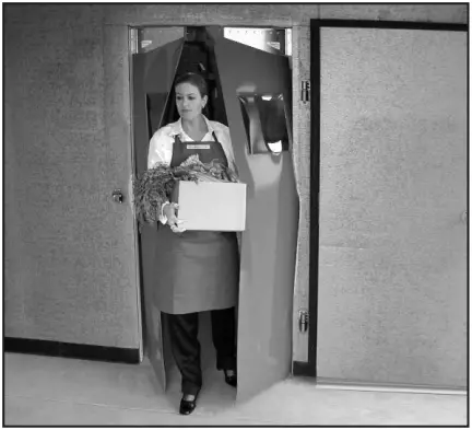 Curtron PP-G-080-5496 Polar Pro Swinging Doors-PRO