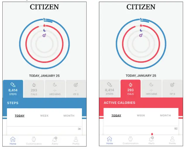 CITIZEN YF10 Watch - fig 13