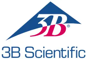 3B LOGO