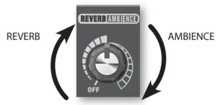 Roland AC 33 Musical Instruments and Professional Audio System - Ambience