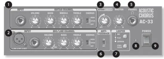 Roland AC 33 Musical Instruments and Professional Audio System -Control Panel