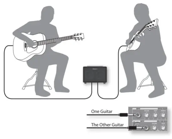 Roland AC 33 Musical Instruments and Professional Audio System - Guitar duo