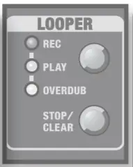 Roland AC 33 Musical Instruments and Professional Audio System - Looper function