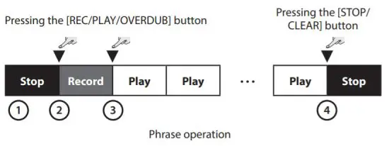 Roland AC 33 Musical Instruments and Professional Audio System - Recording a phrase