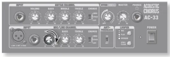 Roland AC 33 Musical Instruments and Professional Audio System - microphone 2