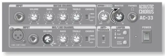 Roland AC 33 Musical Instruments and Professional Audio System - microphone 3