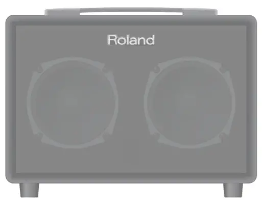 Roland AC 33 Musical Instruments and Professional Audio System