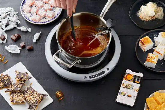 HESTAN CUE 41701 Smart Probe