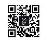 Shenzhen Yi Pin Cheng Technology P40 Visual WiFi Ear Endoscope 1