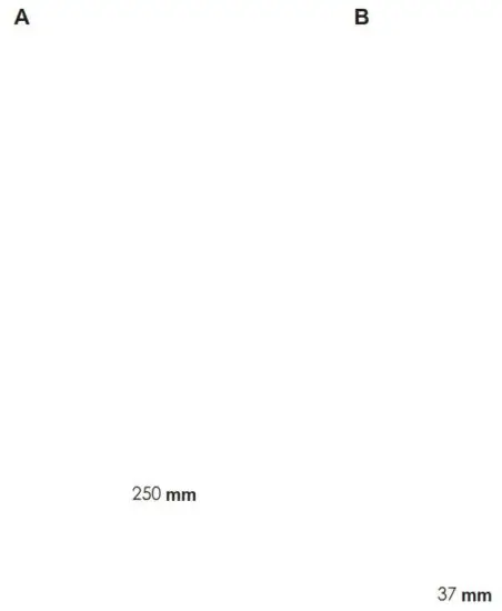 FIG 8 Get to know your Ninja 250