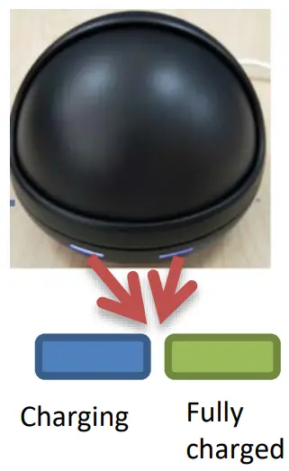 Charging indicator recognition