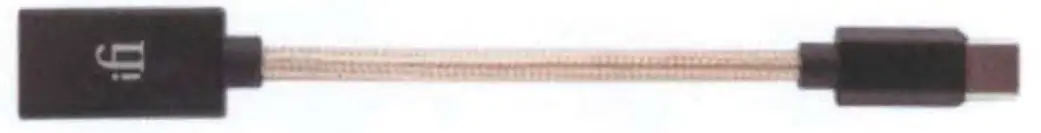 ifi 246HIPCASE Audio Hip-Case - fig1