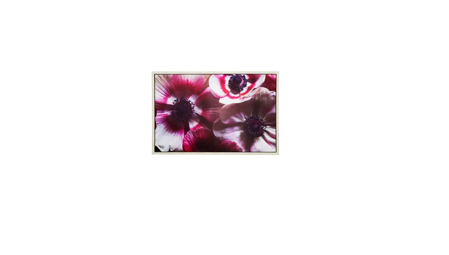 Yhd 3230102 Anemone Ii 38 Inch W X 25 Inch H Framed Photo By Veronica Olson Printed On Canvas User Manual