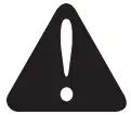 Warning Icon