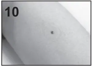 91237 0001 47 Home Aide Easy Talk Glucose Meter - figure 39