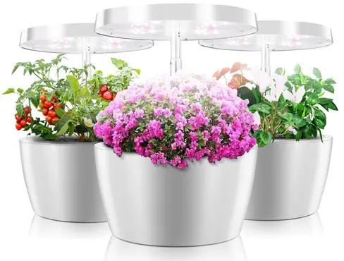 Ecoo Grower Aqua-01 Hydroponics Growing System