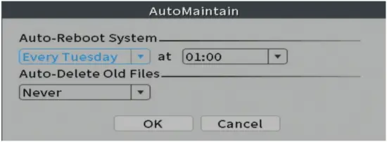 PNI IP716 Video Surveillance Recorder 22 AutoMaintain