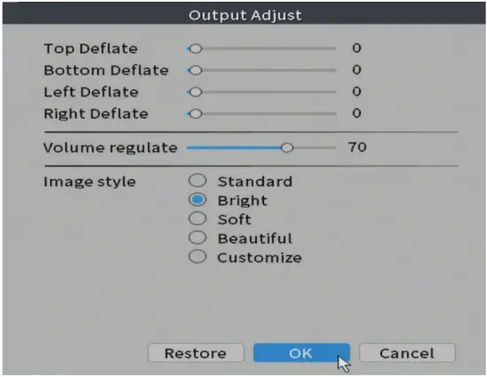 PNI IP716 Video Surveillance Recorder 35 Output Adjust