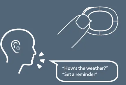 activate Voice Assistant