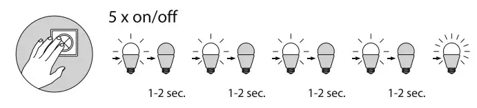 Paul Neuhaus Q-ADAM Pendant Light - Figure 4