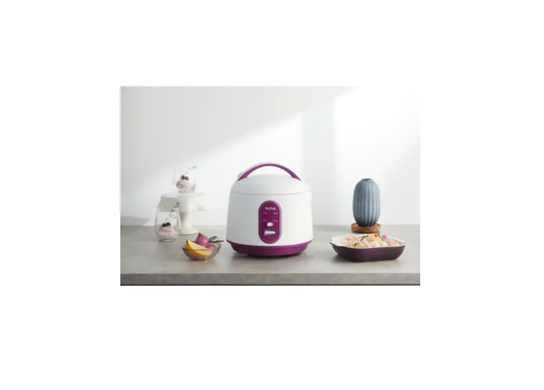 Tefal Rk224 Mini Rice Cooker User Manual