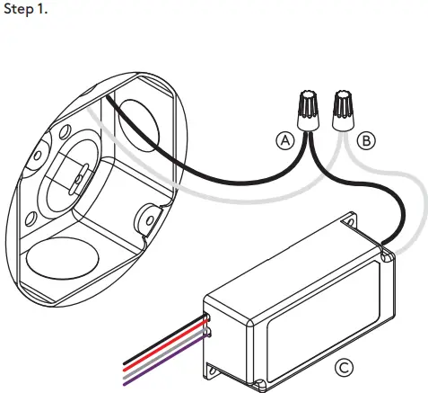Matter Made Discus Wall Climber 1-FIG2