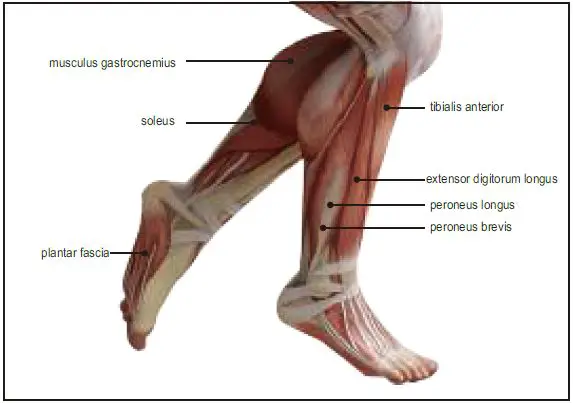 INNOTECK-DS-7203-Micro-Massager-fig- (10)