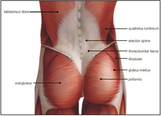 INNOTECK-DS-7203-Micro-Massager-fig- (8)