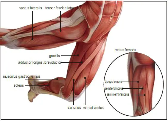 INNOTECK-DS-7203-Micro-Massager-fig- (9)