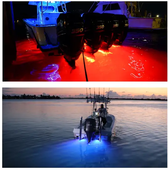 OceanLED X-SERIES Underwater LED Light Flush Mount - PHOTOGRAPHY