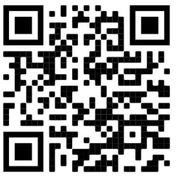 Wildix WP480G WorkForce WiFi Dongle-fig2