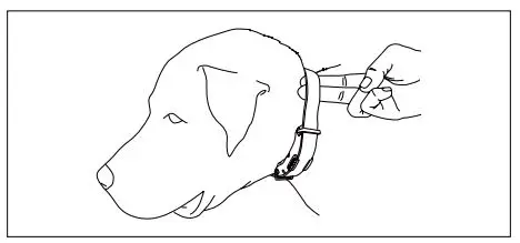 dogtra 3500NCP Super X Series Remote Controlled Dog Training Collars Owner’s Manual - FITTING THE COLLAR ON THE DOG