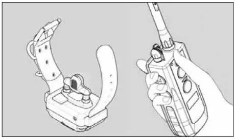 dogtra 3500NCP Super X Series Remote Controlled Dog Training Collars Owner’s Manual - TESTING YOUR Dogtra 3500NCP Super-X Series
