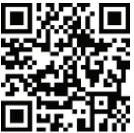 Lenovo TB-J706L Tab P11 Pro fig 12