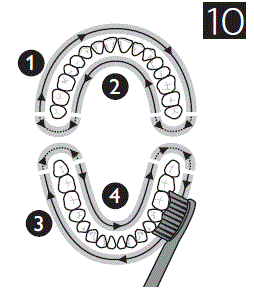 PHILIPS-HX6888-4300-ProtectiveClean-Electric-Toothbrush-FIG- (9)