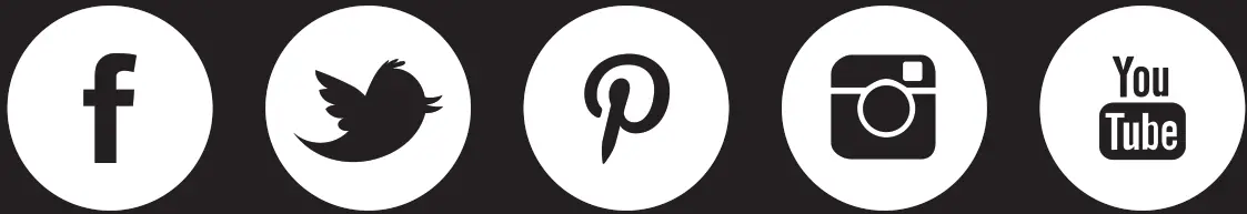 yonanas YOPB300 Personal Blender- icon1