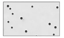 nexcelom cellometer auto t4 - 11