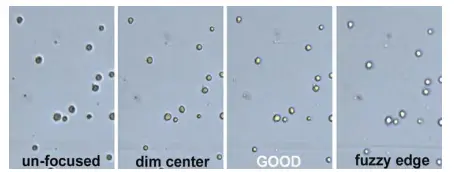 nexcelom cellometer auto t4 - 12