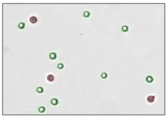 nexcelom cellometer auto t4 - 17