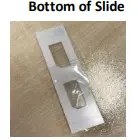 nexcelom cellometer auto t4 - 9