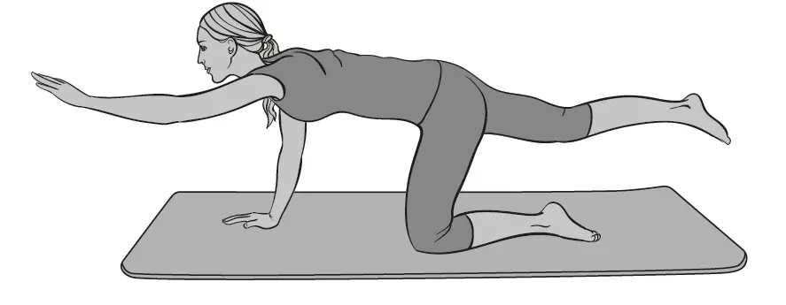 crane-43030200-Sportmat-fig- (1)