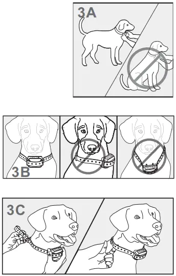 Petrainer-PET998DBB-Rechargeable-Dog-Training-Collar-fig-23