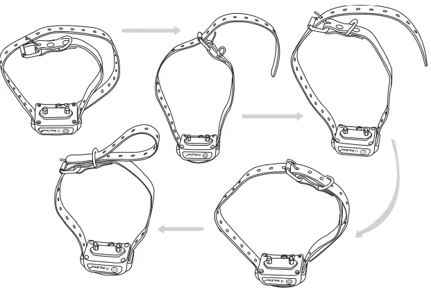 Petrainer-PET998DBB-Rechargeable-Dog-Training-Collar-fig-24