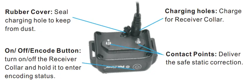 Petrainer-PET998DBB-Rechargeable-Dog-Training-Collar-fig-9