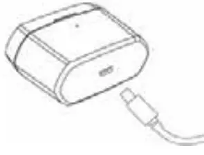 BLAUPUNKT BTW-Pro True Wireless Bluetooth Earbud - Micro USB charging