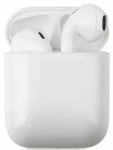 Quest Usa BUDZ Premium True Wireless Earbuds-