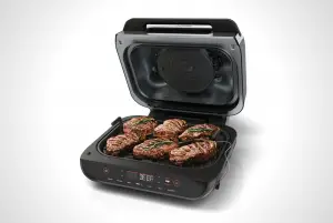 NINJA How to place the thermometer