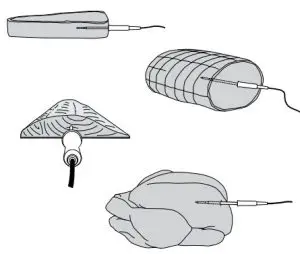 Thermometer Placement